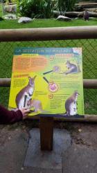 Parcours pédagogique du Zoo de Servion